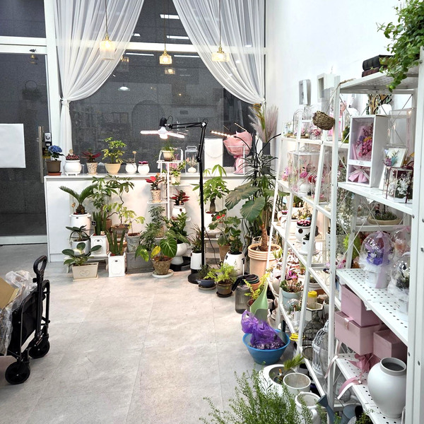 [경기 안양] 지니플로라 체험단