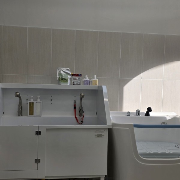 [충남 서산] 뽀독뽀DOG 체험단