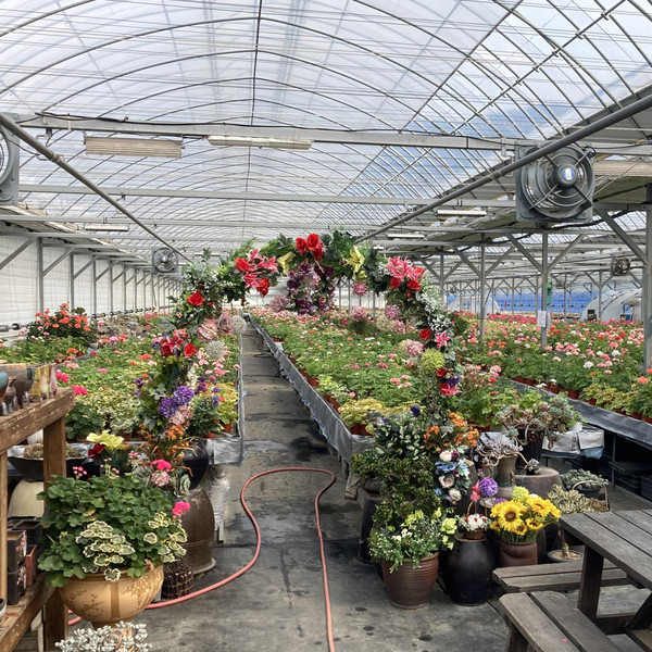 [전남 담양/택배] 담양꽃빛농원