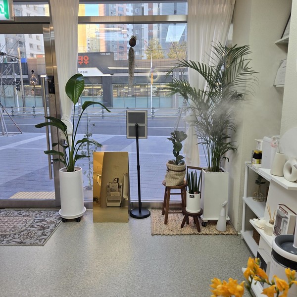 [경북 경주] 뤼미에르에스테틱 체험단