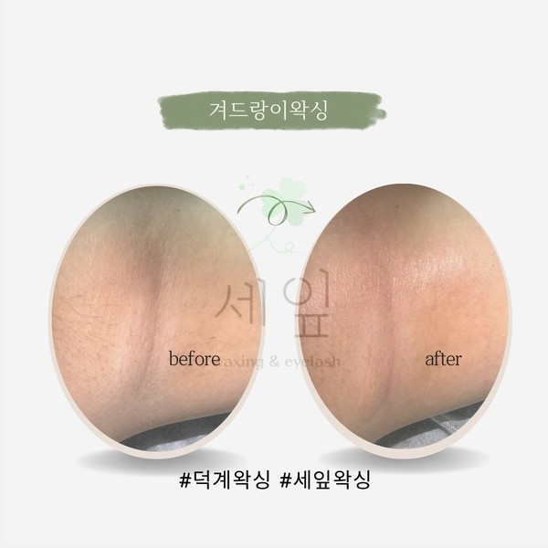 [경기 양주] 세잎 체험단