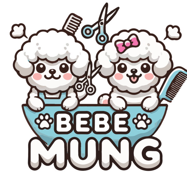 [인천 부평구] 베베멍 체험단