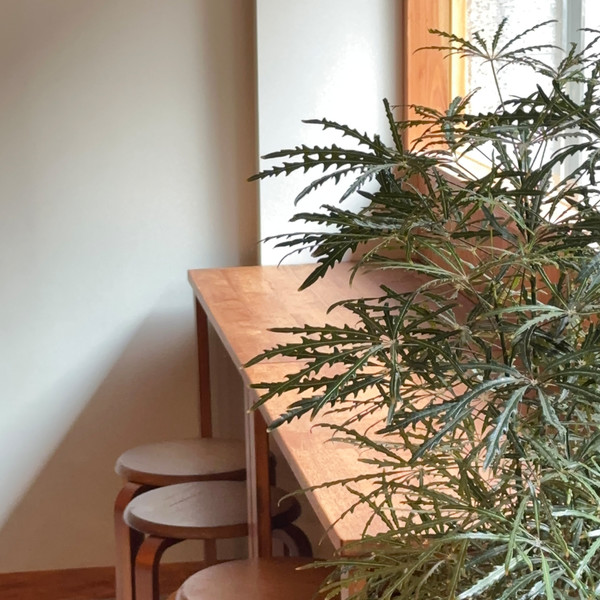 [대전 서구] 연소