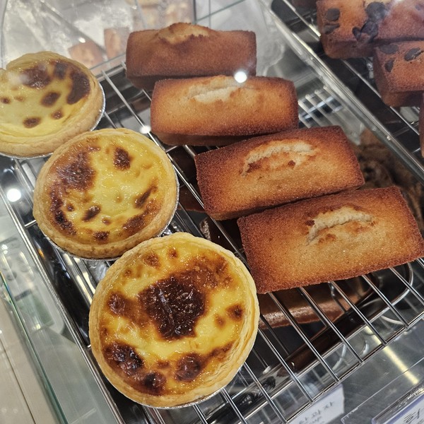 [세종 금남] 아름나무