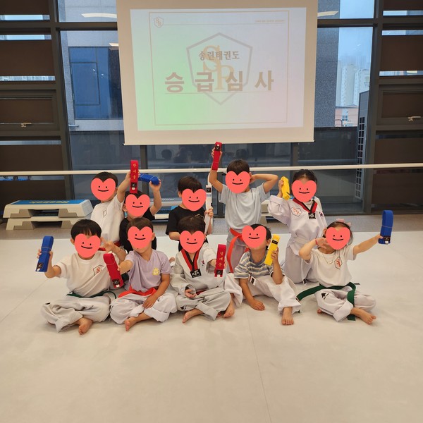 [경기 화성] 송린태권도장 체험단