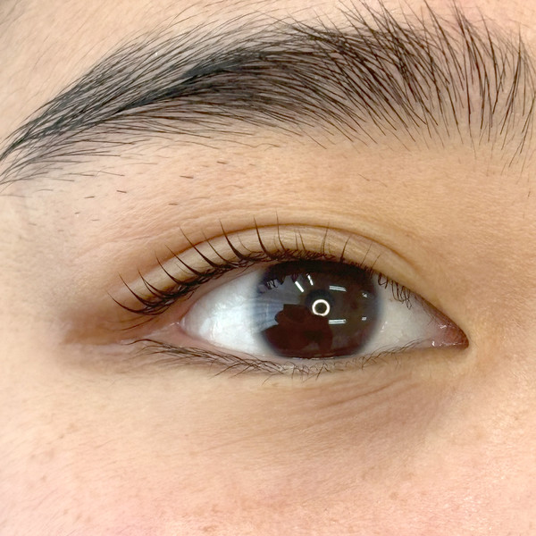 [서울 강서구] 더줌뷰티 체험단