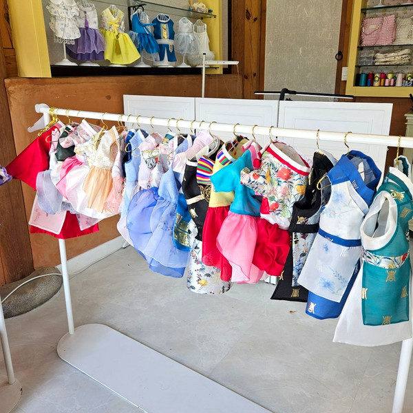 [전북 전주] 독고냥이 체험단