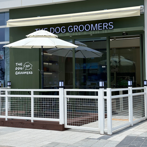 [경기 시흥] 더독그루머스 체험단