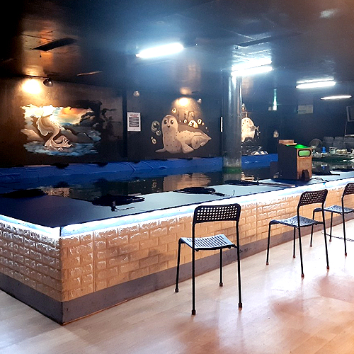 [경기 김포] 나까보까 실내낚시터 체험단