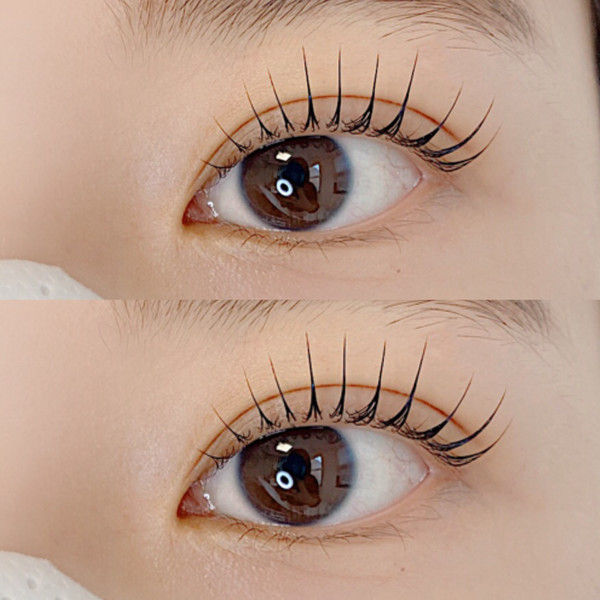 [경기 성남] 래쉬디쉬 체험단