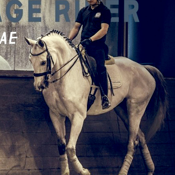 [경기 고양] 워너비승마클럽