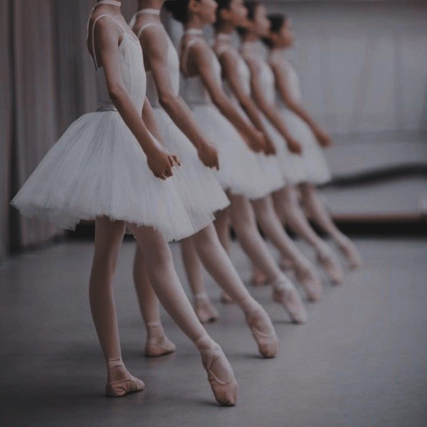 [서울 강남] 앨리발레&번지피지오 체험단