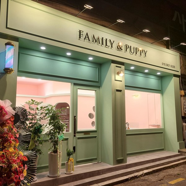 [서울 송파구] 패밀리앤퍼피