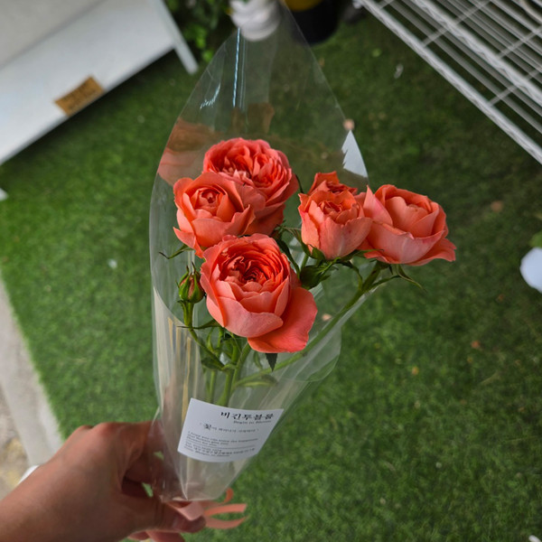 [대구 수성구] 비긴투블룸 체험단